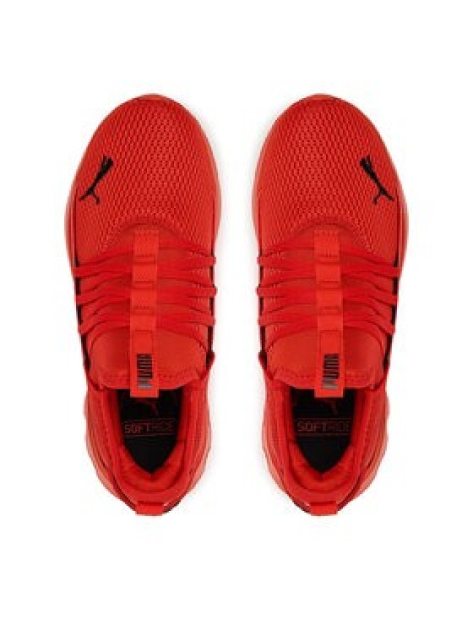 Puma Buty do biegania Softride Carson Fresh 310155 03 Czerwony