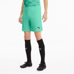 Spodenki męskie Puma Teamfinal 21 Knit Shorts