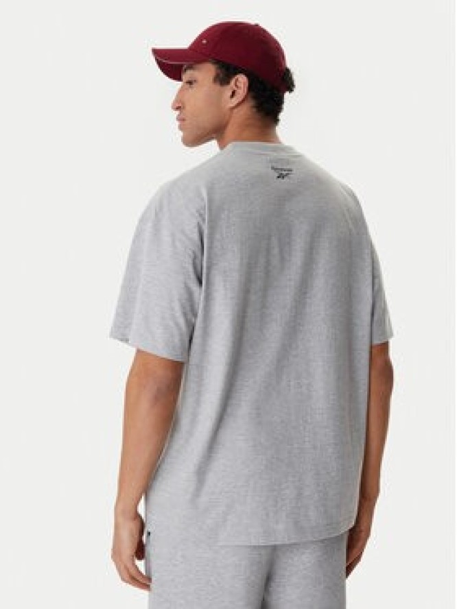 Reebok T-Shirt Beglin RK25554CCM Szary Relaxed Fit