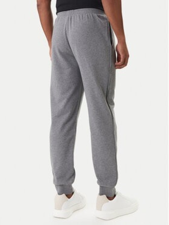 Emporio Armani Underwear Spodnie dresowe EM000500 AF18887 O8027 Szary Regular Fit