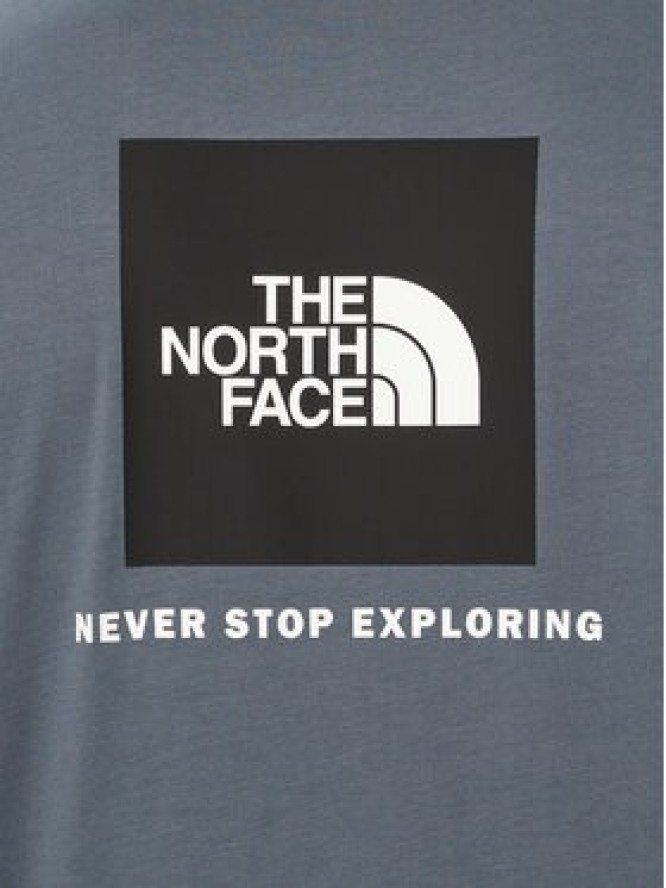 The North Face Longsleeve Evolution Box Nse NF0A8B68 Szary Regular Fit