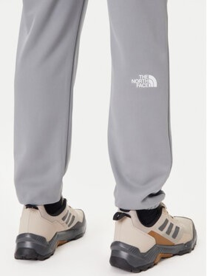 The North Face Spodnie dresowe Reaxion 2.0 NF0A8DRS Szary Regular Fit
