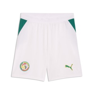 Męskie szorty Senegalu PUMA