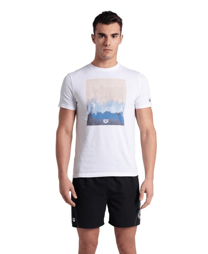 Koszulka męska T-Shirt sportowy Arena Men's T-Shirt Solid Cotton