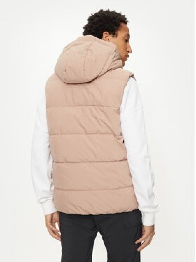 4F Bezrękawnik 4FWAW24TVJAM144 Brązowy Regular Fit