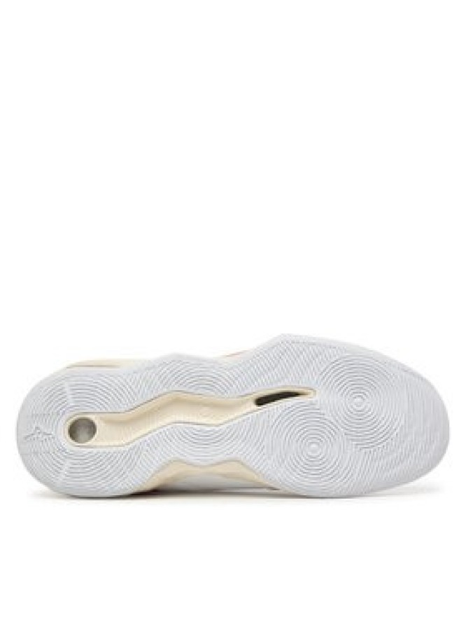 Mizuno Buty halowe Wave Momentum Pro V1GC2540 73 Biały