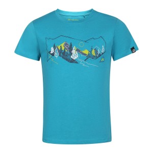 Koszulka męska bawełniana Alpine Pro Bolen