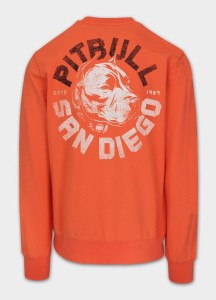 Bluza męska Pitbull DOG SD