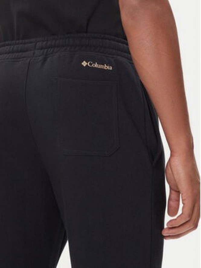 Columbia Spodnie dresowe Trek™ 1957944 Czarny Regular Fit