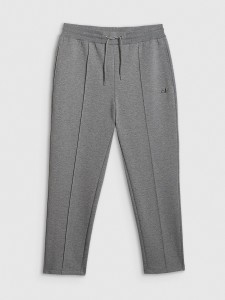 4F Spodnie dresowe męskie - szare S