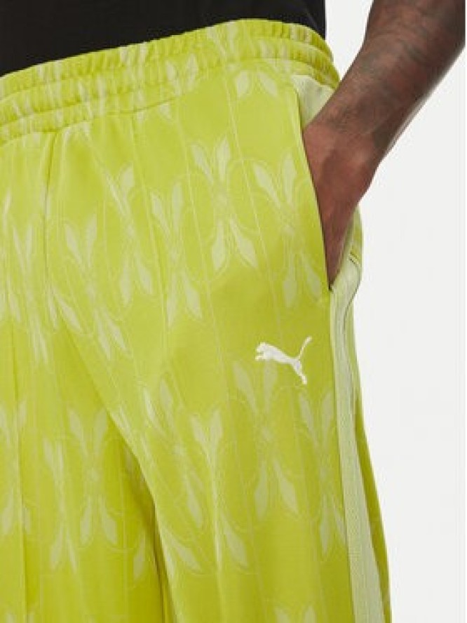 Puma Spodnie dresowe The NeverWorn V T7 631492 Zielony Regular Fit