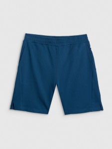 4F Spodenki dresowe męskie - turkusowe 3XL