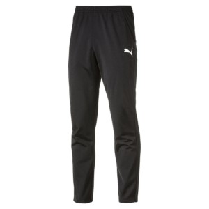 Spodnie sportowe męskie Puma Liga 655770-03