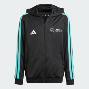 BLUZA Z KAPTUREM MERCEDES - AMG PETRONAS FORMULA ONE TEAM DNA FULL ZIP