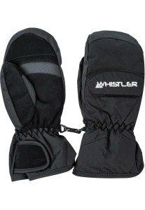 whistler Rękawice Mitten Wido M 100% poliamid dla mężczyzn – 1001 Black