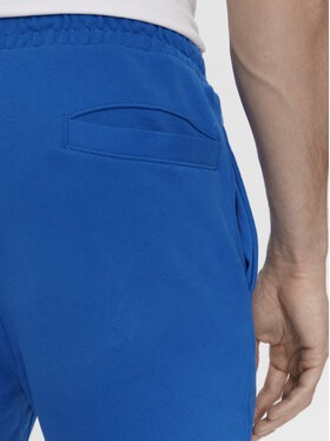Tommy Jeans Szorty sportowe Tjm Entry Graphic DM0DM19153 Niebieski Regular Fit