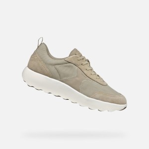 Buty GEOX U XTORS Jasnobrązowy