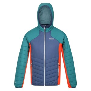 Męski Softshell Z Kapturem Trutton