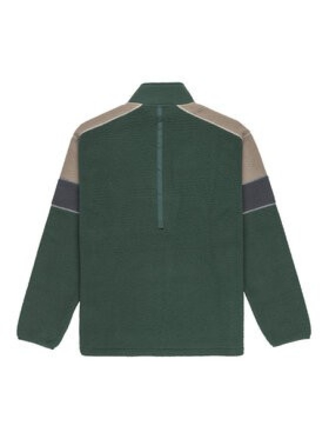 Quiksilver Polar Clean Coast Block EQYPF03065 Zielony Loose Fit