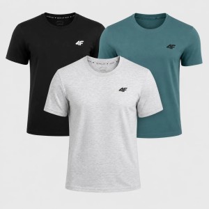 ZESTAW KOSZULEK MĘSKICH 4F 3PAK KOMPLET NA CO DZIEŃ T-SHIRT SPORTOWY
