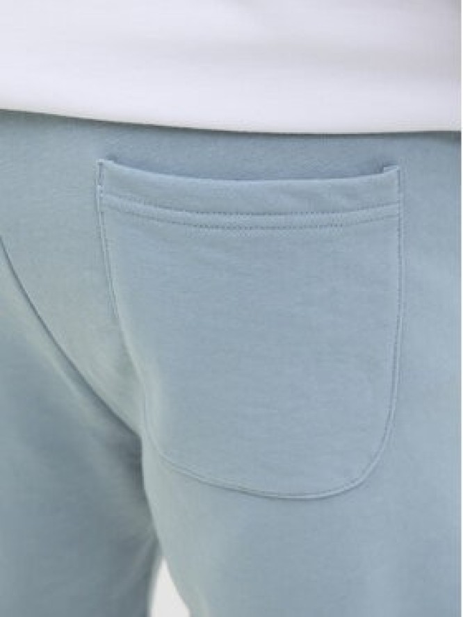 Jack & Jones Szorty sportowe Vesterbro 12252251 Zielony Loose Fit