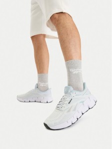 Reebok Buty do biegania EO-ZIG DYNAMICA 6 100244516 Szary