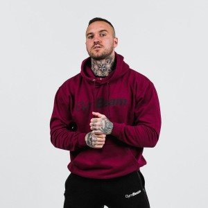 Bluza męska fitness z kapturem PRO Hoodie