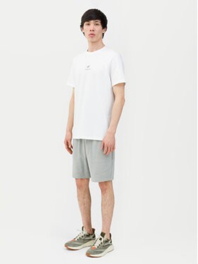 4F Szorty sportowe 4FWSS24TSHOM330 Szary Regular Fit
