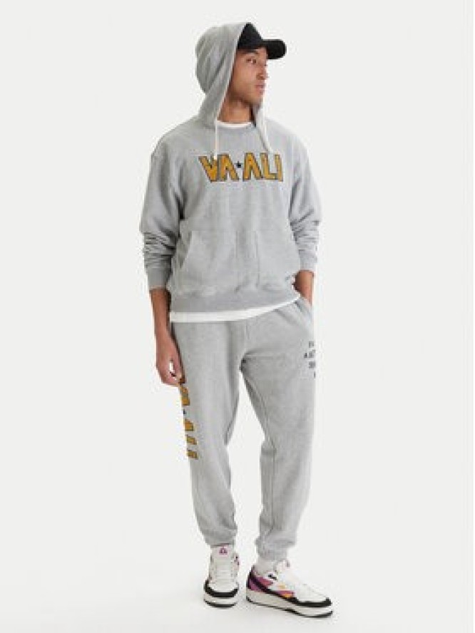 RVCA Spodnie dresowe Va X Ali 23A123500 Szary Relaxed Fit