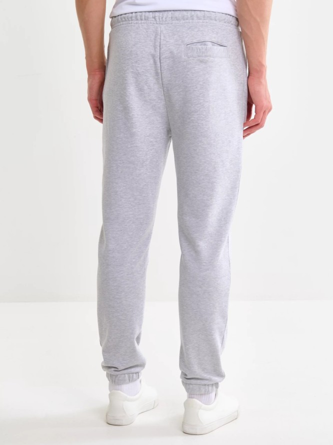 Spodnie męskie dresowe szare Brutus 901