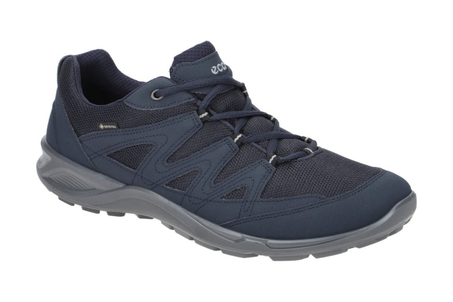 Baskets Ecco Terracruise GTX