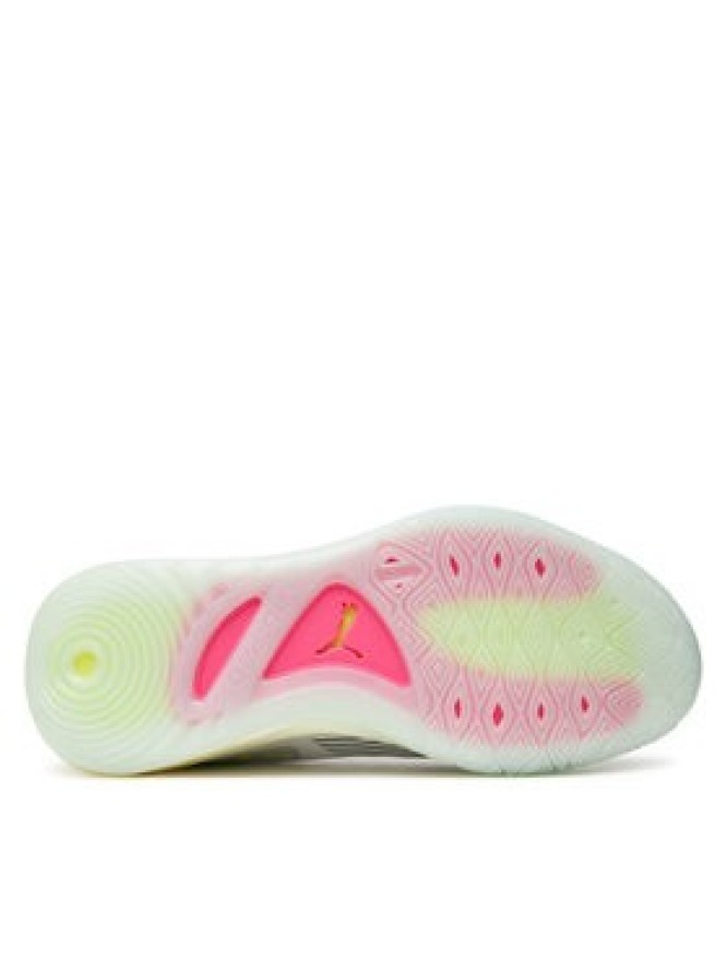 Puma Buty do koszykówki All-Pro Nitro 2 311521 01 Biały