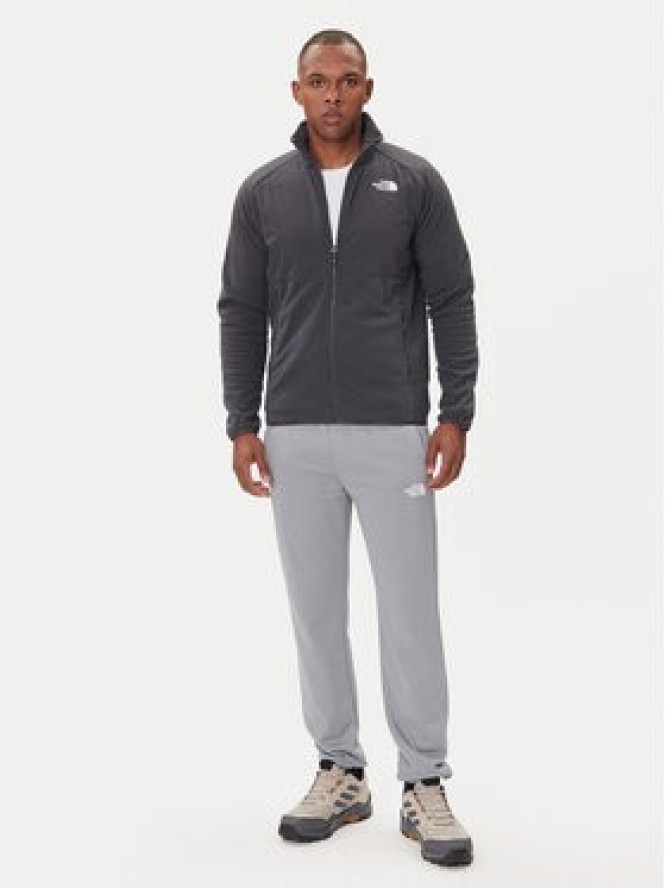 The North Face Spodnie dresowe Reaxion 2.0 NF0A8DRS Szary Regular Fit