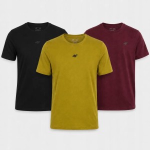 KOMPLET KOSZULEK 4F ZESTAW MĘSKI T-SHIRT 3PAK