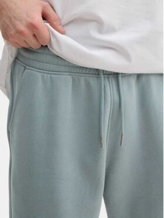 Tom Tailor Denim Szorty sportowe 1045584 Niebieski Regular Fit