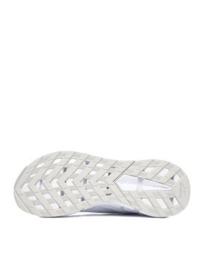 Reebok Buty do biegania EO-ZIG DYNAMICA 6 100263918 Biały