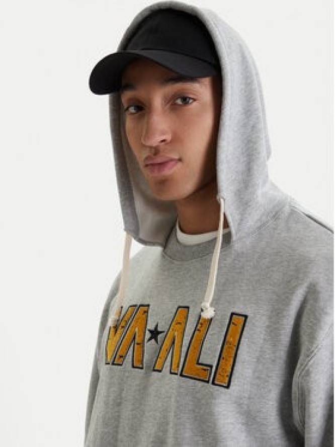 RVCA Bluza Va X Ali 23A413500 Szary Regular Fit