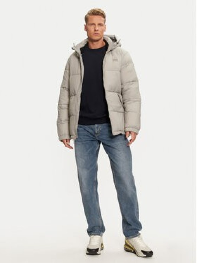 Dickies Kurtka przejściowa Waldenburg Hooded DK0A4YEYD06 Szary Regular Fit