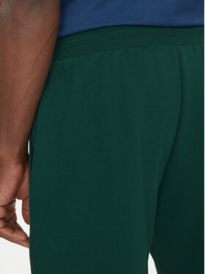 The North Face Szorty sportowe Nse Box NF0A8C1J Zielony Regular Fit