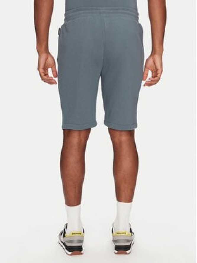 Napapijri Szorty sportowe Nalis NP0A4H88G1Y1 Niebieski Regular Fit