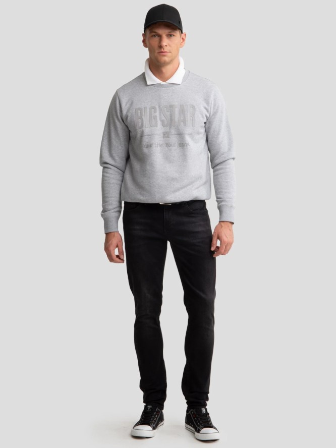 Bluza męska z nadrukiem szara Ecodort 902