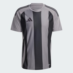 Koszulka Striped 24