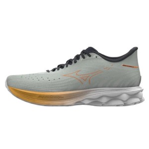 Buty do biegania Mizuno Wave Skyrise 6