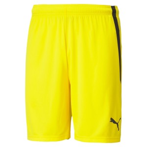 Krótki Puma Team Liga