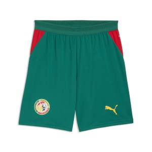 Męskie szorty Senegalu PUMA
