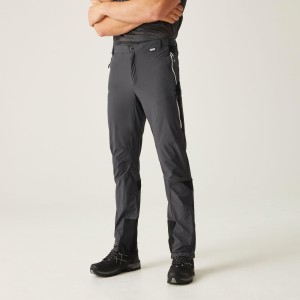 Spodnie trekkingowe męskie Mountain III