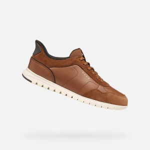 Baskets Geox Flextridezero Plus