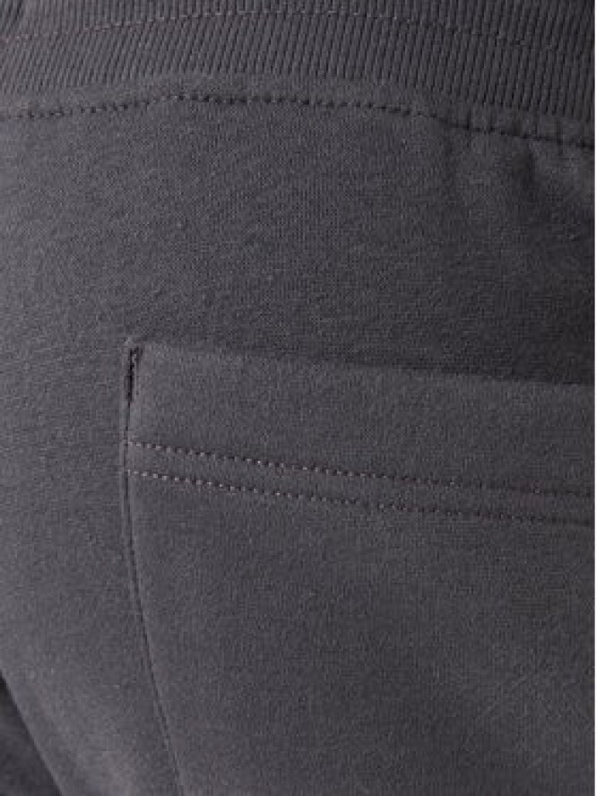 Tommy Jeans Spodnie dresowe DM0DM20473 Szary Regular Fit