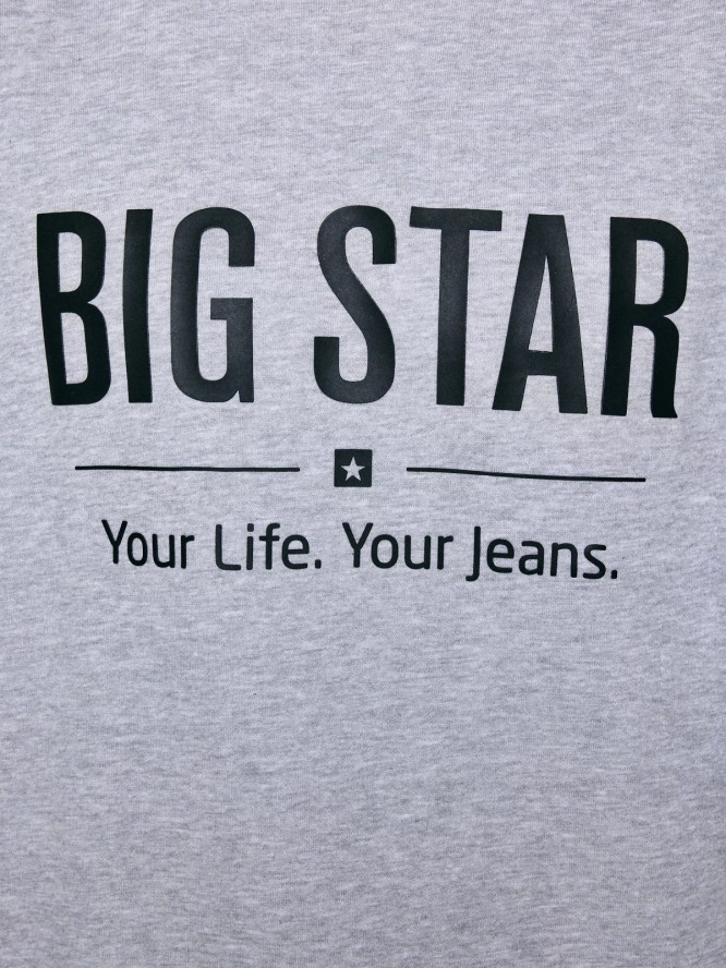 Bluza męska z nadrukiem szara Ecodort 901