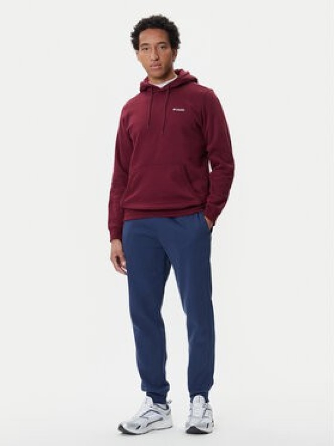 Columbia Bluza 2137182 Czerwony Regular Fit